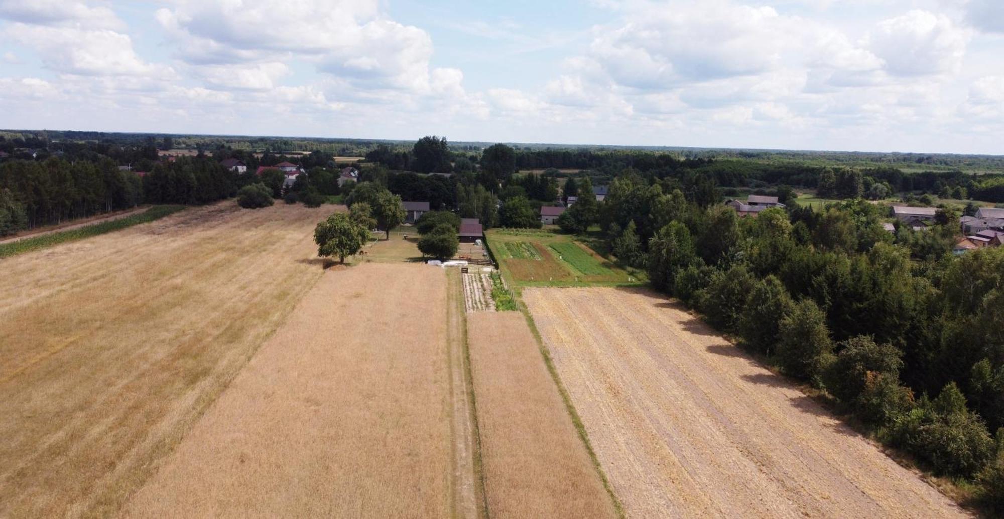 Agroturystyka Kraina Jezior Ludwin Экстерьер фото