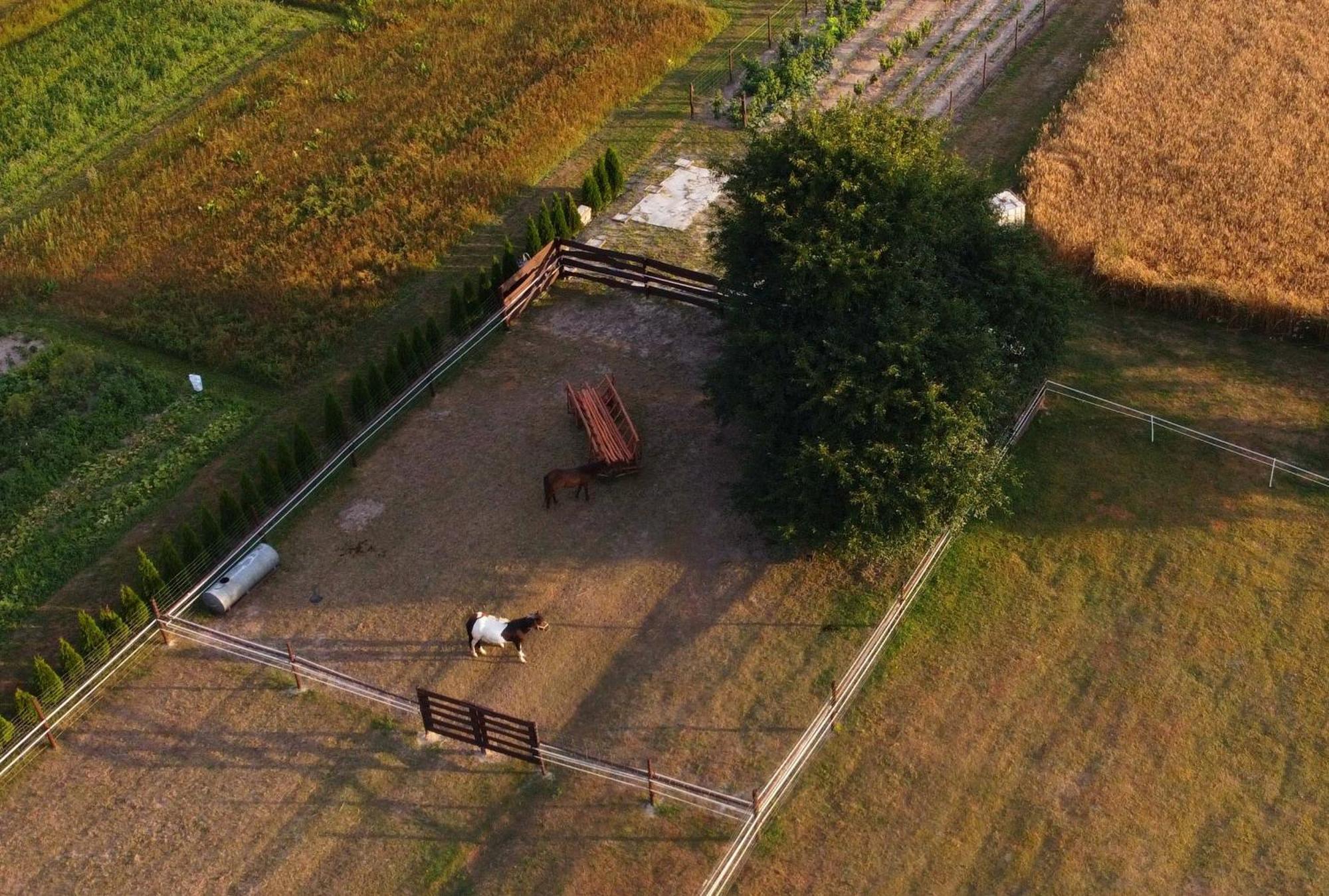 Agroturystyka Kraina Jezior Ludwin Экстерьер фото